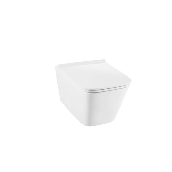 Dxv Modulus Commode DXV DXV Modulus Wall-Hung Elongated Toilet Bowl with Seat - MGM ...