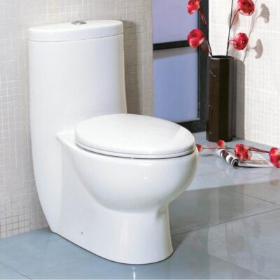 Lacava Floor -standing elongated one-piece porcelain toilet with siphonic dual flush system 1.