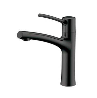 Aquabrass 18014 Folia Single Hole Lav. Faucet