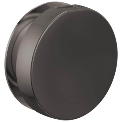 Brizo Other Mystix™ Round Steam Head