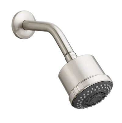DXV Multifunction Showerhead