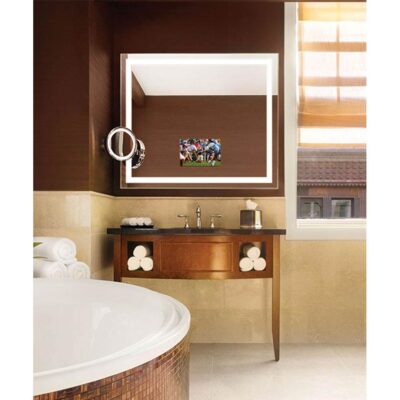 Electric Mirror Integrity 60w x 42h Lighted Mirror TV with 15'' TV