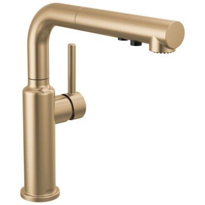 Delta Faucet Daneri™ Single Handle Pull-Out Kitchen Faucet