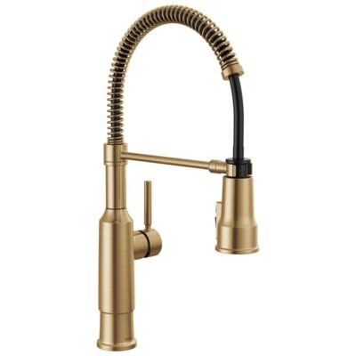 Delta Faucet Theodora™ Single-Handle Pull-Down Spring Kitchen Faucet