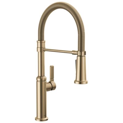 Delta Faucet Rhett™ Single Handle Pull-Down Spring Kitchen Faucet