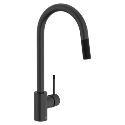 DXV Etre™ Single Handle Pull-Down Kitchen Faucet with Lever Handle