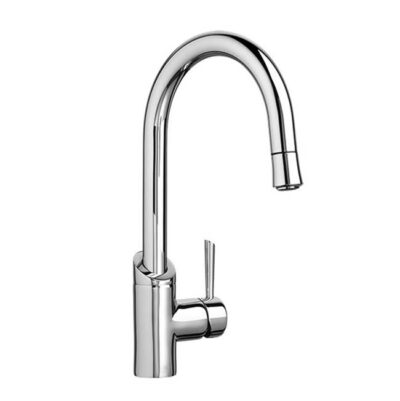 DXV Kitchen Faucet