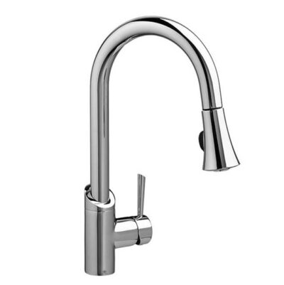 DXV Pull-Down Kitchen Faucet