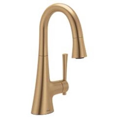 Moen Bronzed gold (bzg) one-handle kitchen faucet