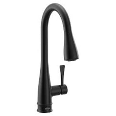 Moen Riverwood Kitchen Pulldown Faucet - Bl
