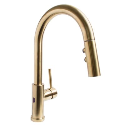 Speakman Neo Sensor Pull Down Kitchen Faucet - BRB