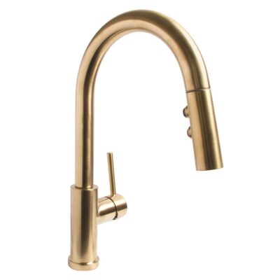 Speakman Speakman Neo Pull Down Kitchen Faucet