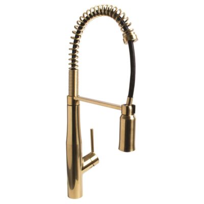 Speakman Speakman Neo Spring Kitchen Faucet